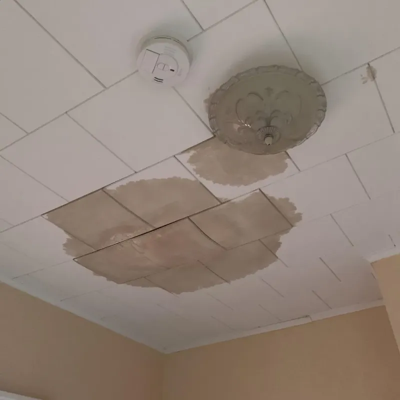 Ceiling Water Damage Repair in Glen Rock, PA