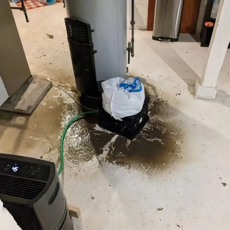 Sewage Backup Cleanup Service in Glen Rock, PA